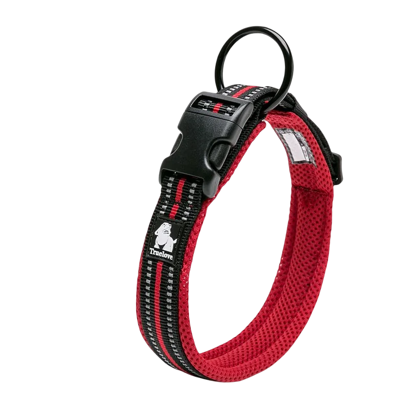 Dog Walking Collar Comfort Padded with Buckle