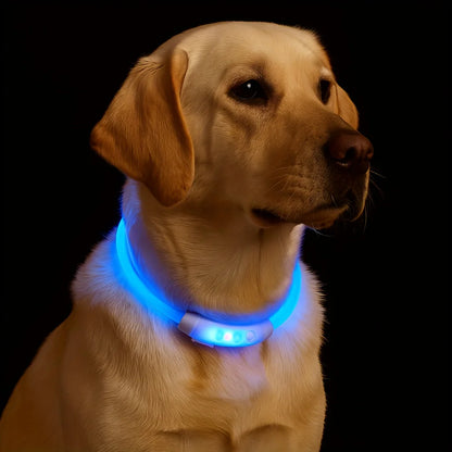 LED Dog Collar USB Rechargeable