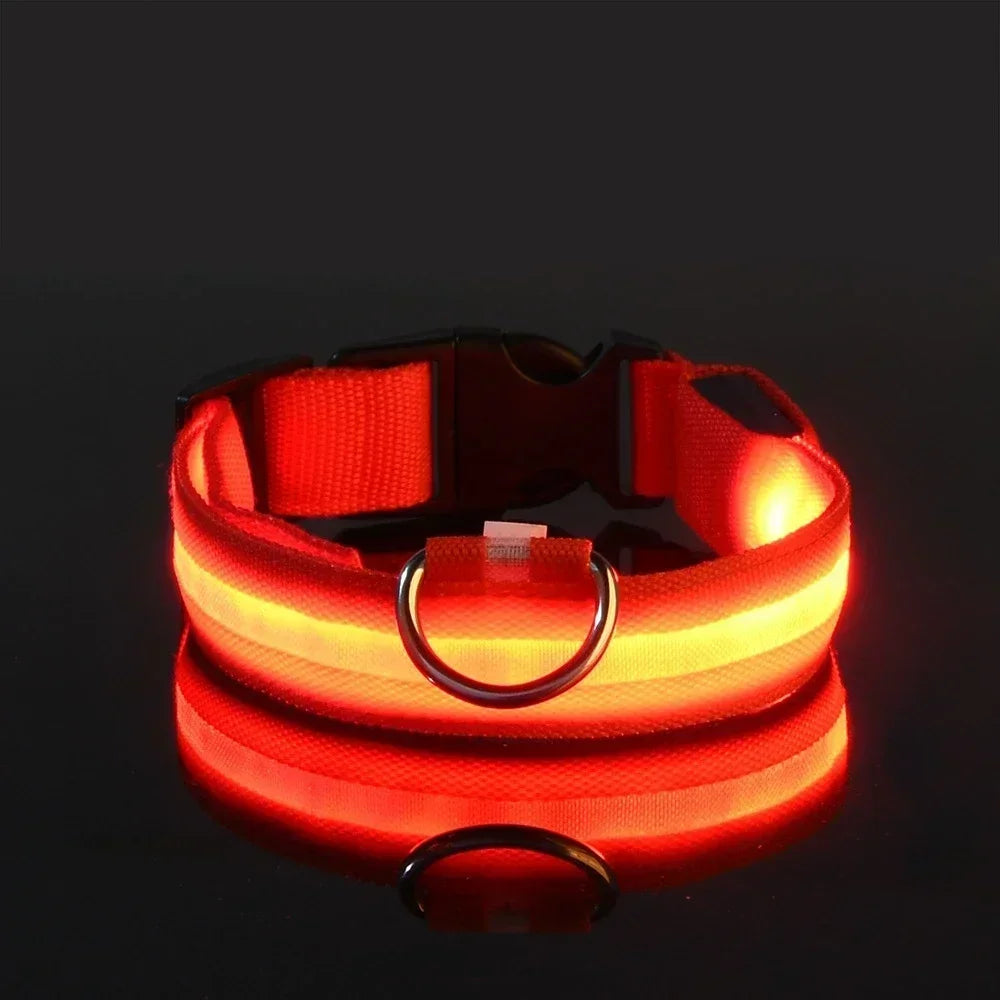 Collar Nylon LED Night Safety Flashing Glow In The Dark