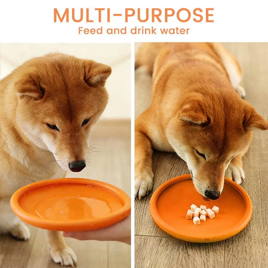 Bite Resistant Flying Disc Toys For Dog M