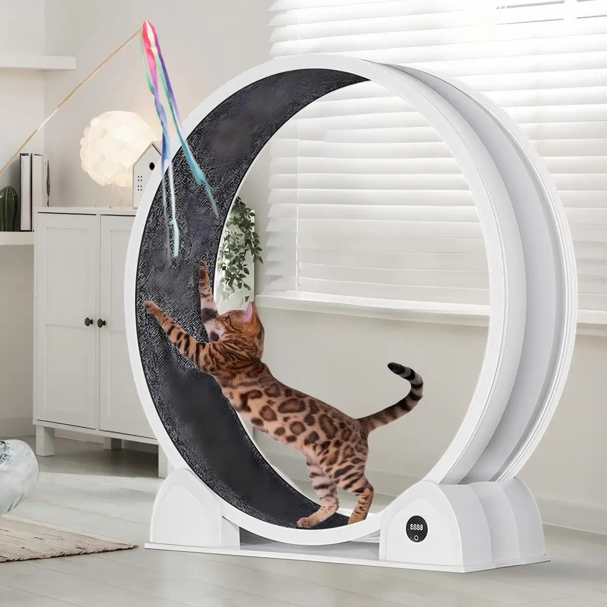 Cat Exercise Wheel, Treadmill with Pedometer