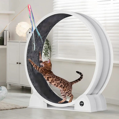 Cat Exercise Wheel, Treadmill with Pedometer