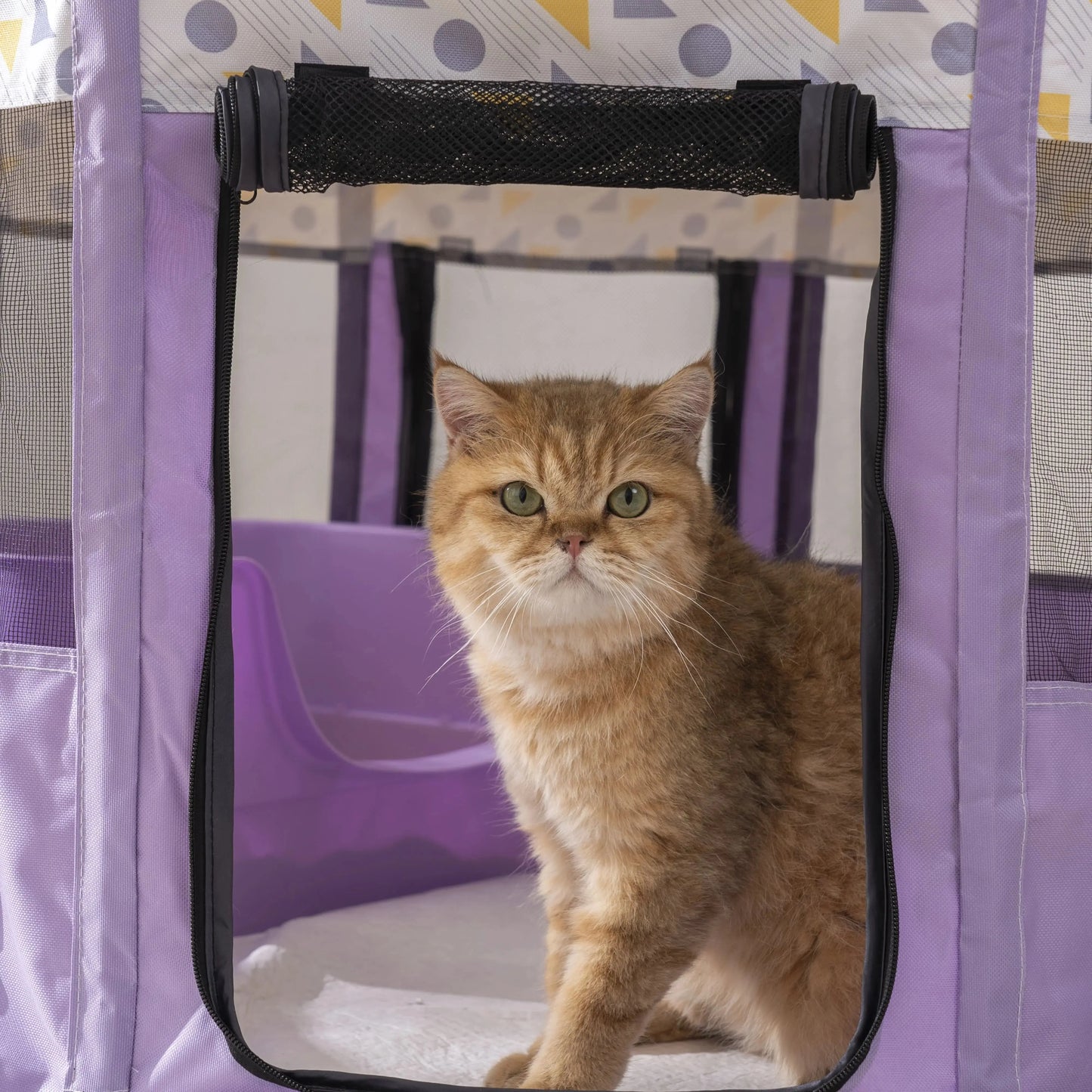 Foldable Mesh Ventilated Circular Cat Nest Out