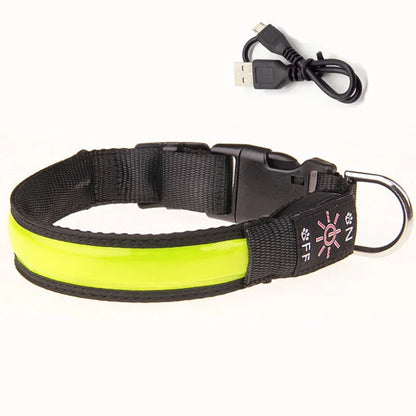 LED Glowing Dog Collar Adjustable Flashing USB Charging