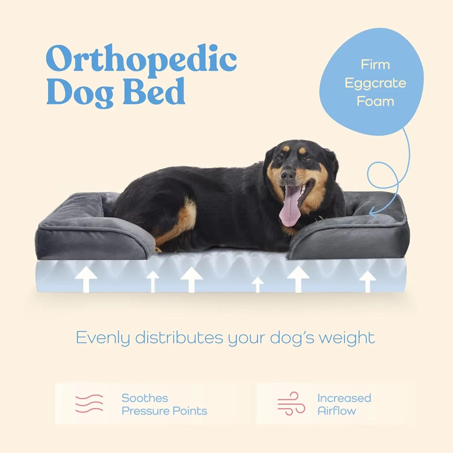 Orthopedic Dog Bed for Medium Dogs - Ultra Comfortable