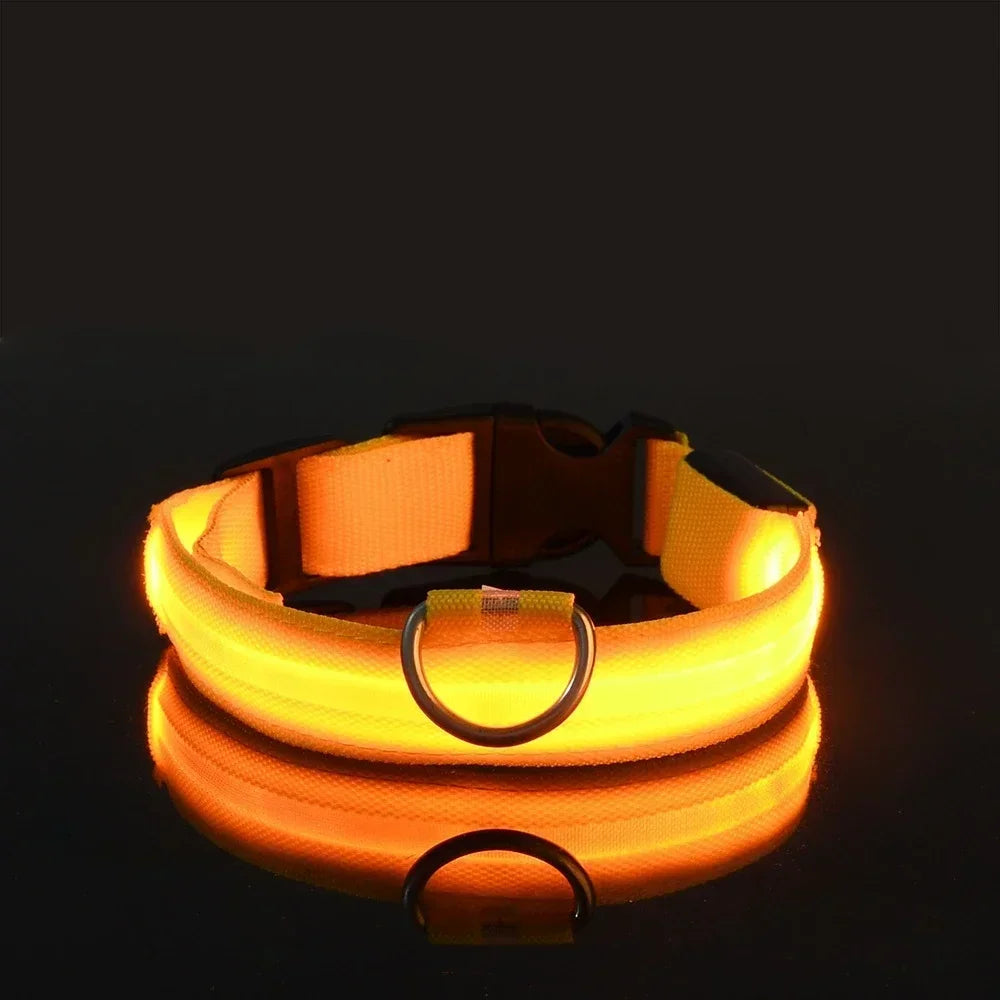 Collar Nylon LED Night Safety Flashing Glow In The Dark