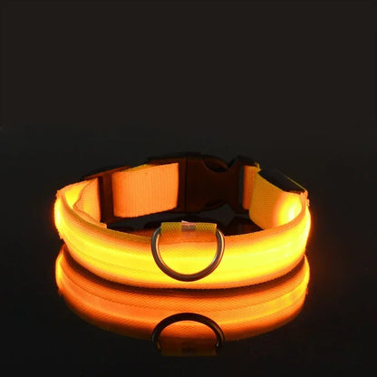 Collar Nylon LED Night Safety Flashing Glow In The Dark
