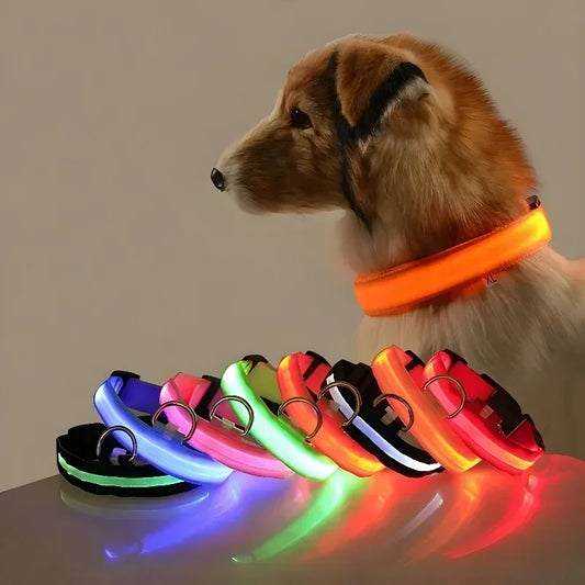 Collar Nylon LED Night Safety Flashing Glow In The Dark